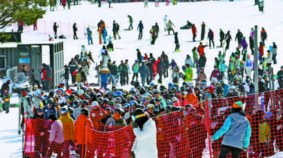 [사진] 스키·보드의 계절이 왔다