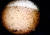 화성탐사선 &#39;인사이트&#39; 호가 화성에 착륙하며 촬영한 화성표면 사진을 처음으로 보내왔다. 사진 속 화성의 표면에 먼지가 묻은 듯 수 많은 점들이 보인다.[사진 NASA]