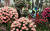 부산시민공원 다솜마당 일원에서 열린 &#39;2018 부산정원박람회&#39;에서 시민들이 장미 정원을 살펴보고 있다. [뉴스1]