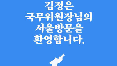 [e글중심] 지하철역 곳곳에 김정은 환영 광고를 내겠다고?