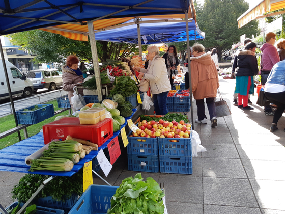 체코 프라하 Tyl 광장의 작은 노천시장. 채소같은 간단한 식재료를 구할 수 있다. [사진 박헌정]