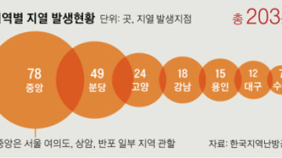 강남 18곳·분당 49곳…노후 열수송관 203곳서 이상 징후
