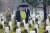 도널드 트럼프 미국 대통령이 15일 화환의 날을 맞아 알링턴 국립묘지를 방문해 국립묘지 관계자, 현역 군인들과 얘기를 나누고 있다. 트럼프의 행사 참석은 공식일정에는 없었다. [AFP=연합뉴스]