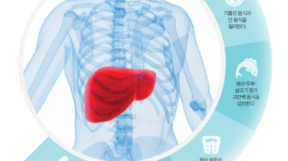 [건강한 가족] 연말연시 잦은 술자리, 간 보호하는 UDCA 미리 챙기고 가시죠