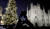 한 여성이 이탈리아 밀라노의 두오모 대성당에 설치된 크리스마스 트리 사진을 찍고 있다. [AP=연합뉴스]