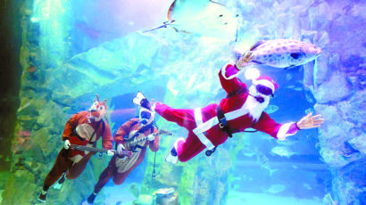 [사진] 수중 산타 “메리 크리스마스”