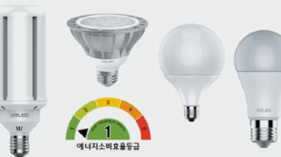 [비즈스토리] 전기료 크게 줄여주는 에너지소비효율 1등급 LED전구 잇달아 출시