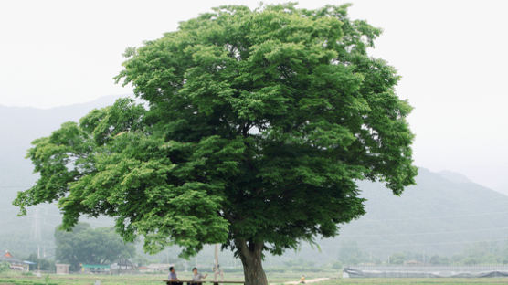 재산 다 주고 쓰러지니 전화번호 바꿔 이사 간 자식들