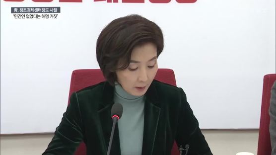 "靑, 창조경제센터장도 사찰…민간인 없었다는 해명 거짓"