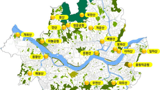 드론쇼·풍물패와 함께 맞는 새해 … 서울 일출 명소 18곳 