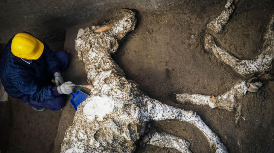 폼페이 유적지서 2000년 전 말 화석 발견…“형태 온전”
