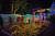 파주 벽초지문화수목원 ‘벽초지빛축제’. [사진 벽초지문화수목원] 