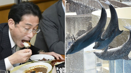 “고래 잡겠다”며 국제기구 탈퇴한 일본…최대 수혜자는