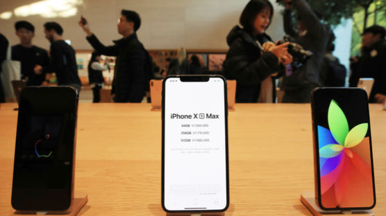 중국발 '애플 보이콧'에, 최신 아이폰 내년에 인도서도 생산