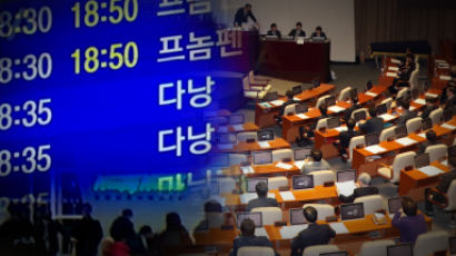 ‘베트남 출장’ 한국당 의원들 조기 귀국…민주당도 온천 일정 취소
