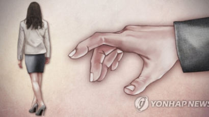 "여친과 다퉜다"며 홧김에 韓여성 성폭행 시도한 中남성