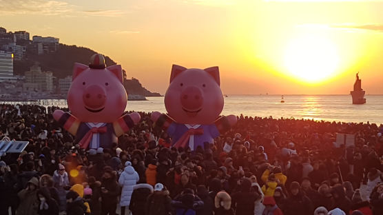 [서소문사진관]2019년 새해 첫날 세계인의 표정…"오늘만 같아라!"