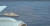 일본 방위성은 지난달 20일 동해상에서 발생한 우리 해군 광개토대왕함과 일본 P-1 초계기의 레이더 겨냥 논란과 관련해 P-1 초계기가 촬영한 동영상을 유튜브를 통해 지난달 28일 공개했다. [일본 방위성 유튜브 캡쳐]