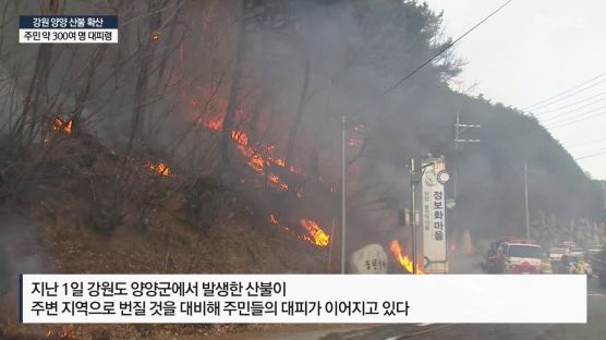20㏊ 태운 양양 산불 진화…원주시장 화재 점포 40곳 소실