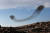  새헤 첫 날인 1일(현지시간) 찌르레기가 이스라엘 남부 라하트 지역 하늘에서 군무를 펼치고 있다. [로이터=연합뉴스]>