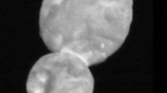 [서소문사진관]태양계 끝 눈사람 모양 소행성 울티마툴레