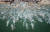 6일 부산 해운대해수욕장에서 열린 &#39;해운대북극곰축제&#39;에서 국내외 참가자 4000여 명이 수영복 차림으로 차가운 겨울 바다에 뛰어들어 수영을 하고 있다. 송봉근 기자