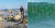 7일 오전 강원 고성군 죽왕면 문암진리 해안에서 발견된 길이 4.2ｍ 크기의 대형 산갈치 한 마리(왼쪽)과 8일 강원 강릉시의 한 해변에 숭에 떼(오른쪽) [독자제공=연합뉴스]