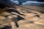 2019 다카르랠리 두번째 구간 경기 모습. 페루 피스코와 산 환 드 마르코나 사이의 사막에서 경기에 출전한 차량이 모래 언덕을 오르고 있다. 태평양 해안의 넘실대는 파도가 보인다. [EPA=연합뉴스]
