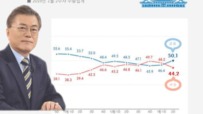 문 대통령 국정지지도 50.1% ‘2주 연속 상승세’…두달 만에 50%선 회복