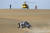 프랑스 드라이버 시빌과 잔이 미니를 몰고 두번째 스테이지를 달리고 있다. 헬기로 이동하는 취재진이 모래 언덕 위에 착륙해 촬영을 하고 있다. [AP=연합뉴스]