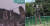 지난 7일 일본 북부 아오모리현에서 촬영된 원숭이 떼 이동모습(왼쪽)이 유격훈련(오른쪽) 을 떠올리게 한다. [유튜브 캡처, MBC 진짜사나이 화면 캡처]