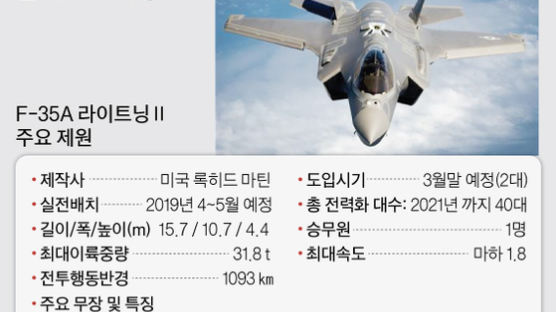 북한 스텔스기 알레르기…군, F-35A 3월 도입 앞두고 고민