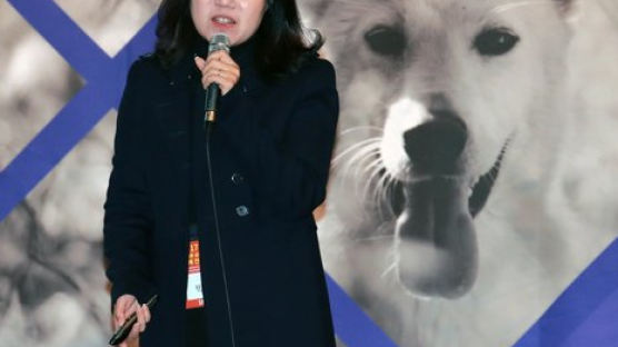 민주 "'안락사 파문' 케어…연간 후원금만 20억원"