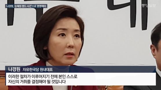 [포토사오정]나경원, 초권력형 비리'손혜원 랜드 사건'으로 명명해야