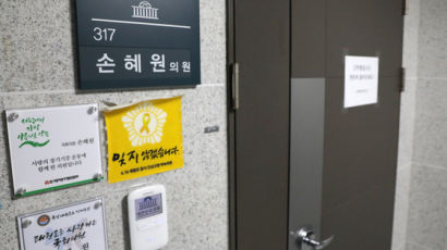 손혜원 “목포 부동산 규모는 300여 평…하나라도 걸리면 의원직 사퇴”