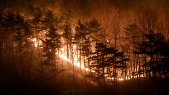 지구온난화가 산불을, 산불은 다시 온난화를 부채질한다