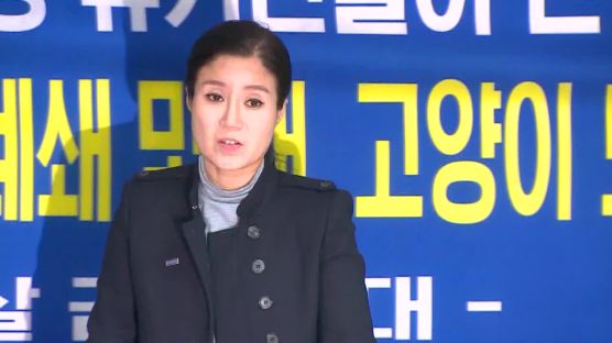 '케어' 박소연 해명 살펴보니…"도살 막으려 인도적 안락사" 