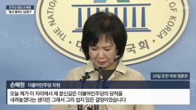 민주당 탈당 손혜원 "총선 출마도 않겠다"