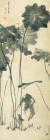 팔대산인이 그린 &#39;연꽃&#39;(1694). 가느다란 연 줄기와 흥건하게 표현한 꽃잎의 대비가 강렬하다. 
