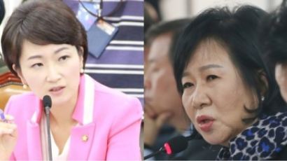이언주 “손혜원, 대규모 권력남용…감옥에 있는 최순실 억울하겠다”