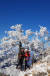 겨울찾은 등산객들이 20일 지리산 정상 부근에서 눈꽃을 배경으로 기념 사진을 찍고 있다. [독자 신경진]