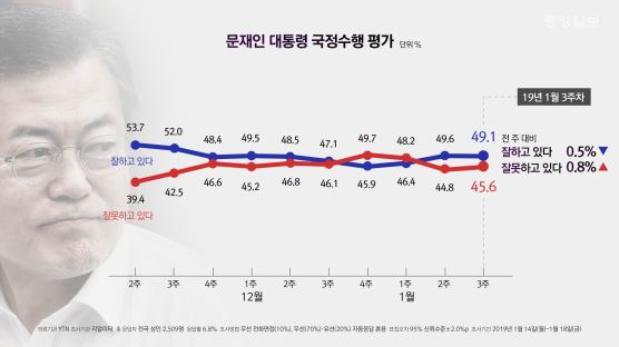문 대통령 지지율 49.1%…손혜원 논란에 소폭 하락