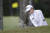 21일 열린 LPGA 투어 토너먼트 오브 챔피언스 최종 라운드에서 첫 홀 벙커에 빠진 공을 건져올리기 위한 샷을 시도하는 지은희. [AP=연합뉴스]