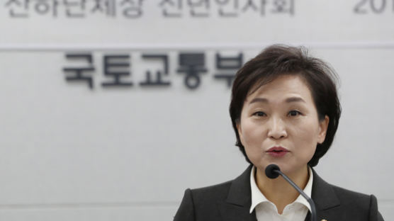 내일 김현미 장관 공시가격 현실화 밝힌다...공시가격 추진방향 발표