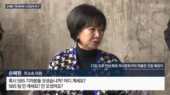 손혜원 “목포서 출마할 의사 전혀 없어…나이가 몇인데 또 하겠나” [일문일답]