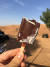 사막에서 작은 아이스크림을 사먹었는데 30디르함 우리돈으로 9200원이나 받았다. 두바이=박린 기자