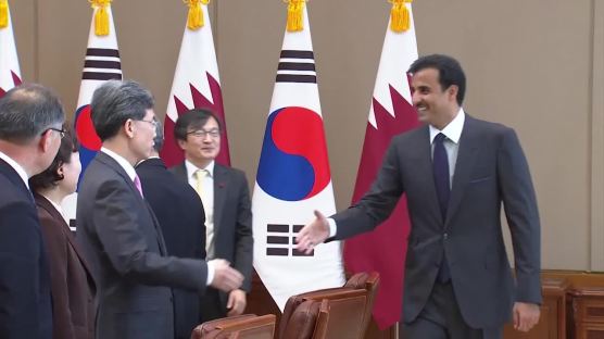 文 만난 카타르 국왕 "한국산 LNG선 60척 도입 계획"