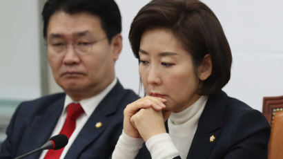 나경원 “손혜원 국정조사 하면, 의원들 이해충돌 전수조사 좋다”