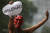 보우소나루 반대자들의 시위 [EPA=연합뉴스]