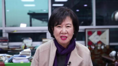 시민단체, 손혜원 '기부금품법 위반' 혐의로 경찰에 고발